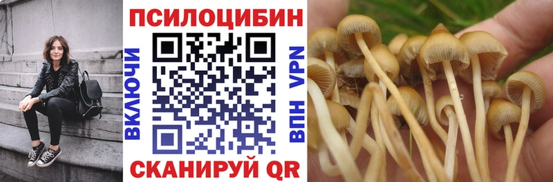 Псилоцибиновые грибы прущие грибы  Вельск 